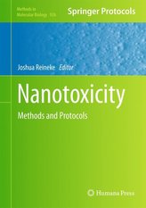 Nanotoxicity