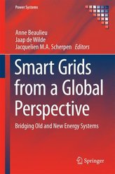 Smart Grids from a Global Perspective