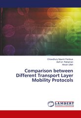 Comparison between Different Transport Layer Mobility Protocols