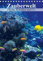 Zauberwelt. Fische, Korallen und Co. (Tischkalender 2021 DIN A5 hoch)