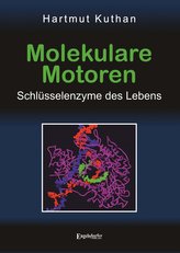 Molekulare Motoren