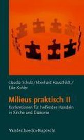 Milieus praktisch II