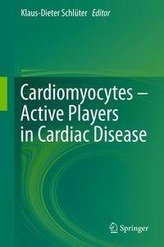 Cardiomyocytes - Active Players in Cardiac Disease