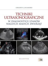 Techniki ultrasonograficzne w diagnostyce stanów
