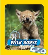 Wilk Borys. Świat dzikich maluchów