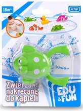 Zabawka do wody - Zielona Żabka Edu&Fun