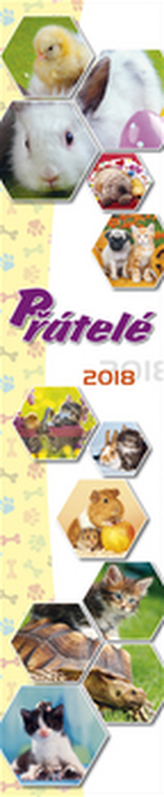 Přátelé 2018 - nástěnný kalendář