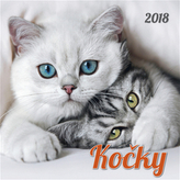 Kočky 2018 - nástěnný kalendář