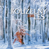 Kouzelný les 2018 - nástěnný kalendář