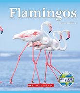 Flamingos (Nature\'s Children)