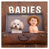 Babies - nástěnný kalendář 2018
