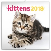 Koťata - nástěnný kalendář 2018