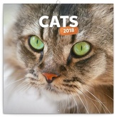 Kočky - nástěnný kalendář 2018