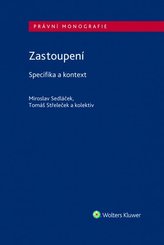 Zastoupení - Specifika a kontext