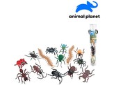 Zvířátka v tubě -hmyz, 4 - 12 cm, mobilní aplikace pro zobrazení zvířátek, 14 ks