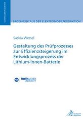 Gestaltung des Prüfprozesses zur Effizienzsteigerung im Entwicklungsprozess der Lithium-Ionen-Batterie