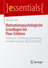 Motivationspsychologische Grundlagen des Flow-Erlebens