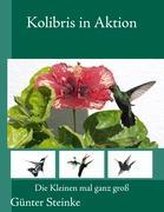 Kolibris in Aktion