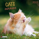Cats Outdoors 2022