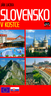 Slovensko v kostce