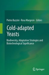 Cold-adapted Yeasts