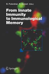 From Innate  Immunity to Immunological Memory