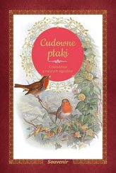 Cudowne ptaki. Czarodzieje z naszych ogrodów