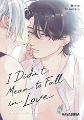 I Didn\'t Mean to Fall in Love