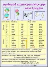 Skloňování vzorů podstatných jmen rodu ženského / Skloňování vzorů podstatných jmen rodu středního (karta)