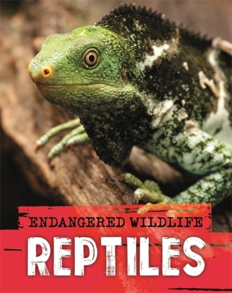 Endangered Wildlife: Rescuing Reptiles