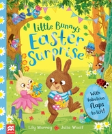 Little Bunny\'s Easter Surprise