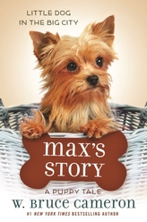 Max\'s Story