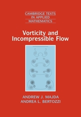Vorticity and Incompressible Flow