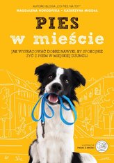 Pies w mieście. Jak wypracować dobre nawyki, by..