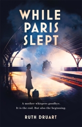 While Paris Slept: A mother in wartime Paris. A heartwrenching choice. A remarkable story.