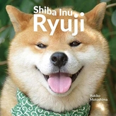 Shiba Inu Ryuji