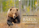 Magie des Augenblicks - Bären in nordischen Wäldern (Wandkalender 2022 DIN A3 quer)