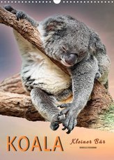 Koala, kleiner Bär (Wandkalender 2022 DIN A3 hoch)