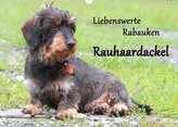 Liebenswerte Rabauken Rauhaardackel / CH-Version (Wandkalender 2022 DIN A3 quer)
