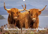 Schottische Hochlandrinder. Freundlich, schön und robust (Wandkalender 2022 DIN A3 quer)