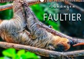 Abhängen - Faultier (Wandkalender 2022 DIN A3 quer)