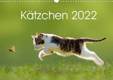 Kätzchen 2022 (Wandkalender 2022 DIN A3 quer)