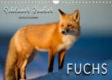 Fuchs - schlauer Räuber (Wandkalender 2022 DIN A4 quer)