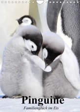 Pinguine. Familienglück im Eis (Wandkalender 2022 DIN A4 hoch)