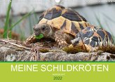 Meine Schildkröten (Wandkalender 2022 DIN A3 quer)
