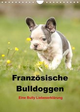 Französische Bulldoggen - Eine Bully Liebeserkärung (Wandkalender 2022 DIN A4 hoch)