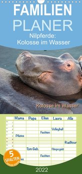 Nilpferde, Kolosse im Wasser - Familienplaner hoch (Wandkalender 2022 , 21 cm x 45 cm, hoch)