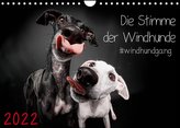 Die Stimme der Windhunde (Wandkalender 2022 DIN A4 quer)