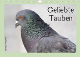 Geliebte Tauben (Wandkalender 2022 DIN A4 quer)