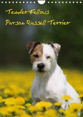 Tender Fellows - Parson Russell Terrier (Wandkalender 2022 DIN A4 hoch)